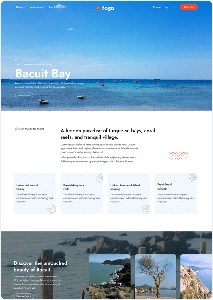 togo tour & travel booking template