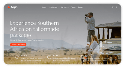 togo tour & travel booking template