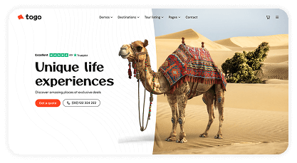 togo tour & travel booking template